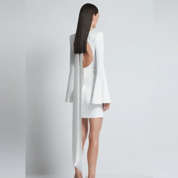 NWT ZHIVAGO THE FAN DRESS Size 6 - Picture 8 of 15